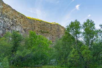 Fototapeta premium Hufeisenförmige Schlucht Asbyrg im Norden Islands