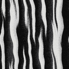 Fototapeta na wymiar Seamless texture of zebra skin.