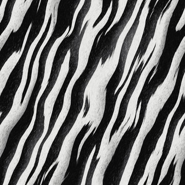 Seamless texture of zebra skin.