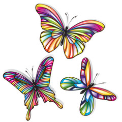 Fototapeta na wymiar Butterflies with colorful wings on white background. Vector set