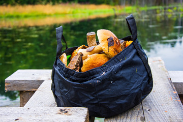 A basket with porcini mushrooms stands on wooden boards. In the background is a beautiful forest lake and green foliage. Healthy lifestyle. Vegetarian food. Background blurred