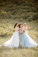 Fototapeta na wymiar three beautiful young females with makeup and hairstyle in delicate summer dresses