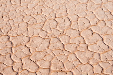Dried out soil / Drought, parched soil with cracks.