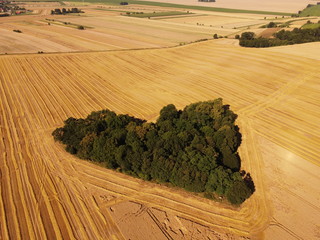 DCIM\100MEDIA\DJI_0596.JPG © Kacper