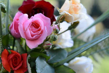 Bouquet of colorful roses close up