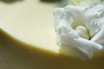 White rose on wedding white cake souffle