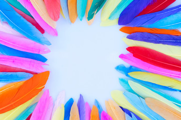 Colorful pattern made of feathers.