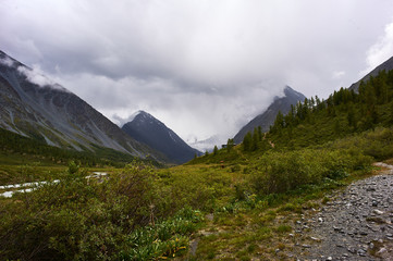 Fototapeta premium Untouched nature of Altai mountains, Russia