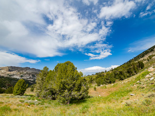 Morning view of the beautiful landscape around the Favre Lake trail