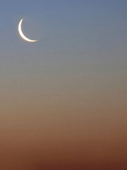 Moon on sky during evening