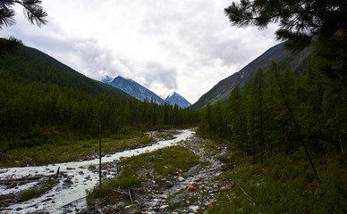 Stream from the Akkem glacier, mountain Altai, Russia