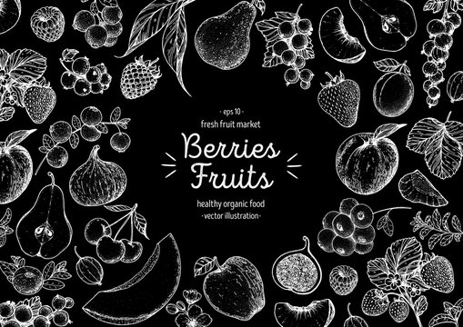Berries and fruits drawing collection. Hand drawn berry sketch. Vector illustration.