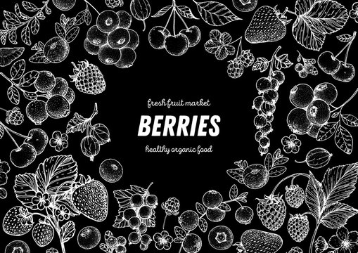 Berries drawing collection. Hand drawn berry sketch. Vector illustration. Food design template with berry. Strawberries, raspberries, blueberries, cranberries, currants, cherries, lingonberries.