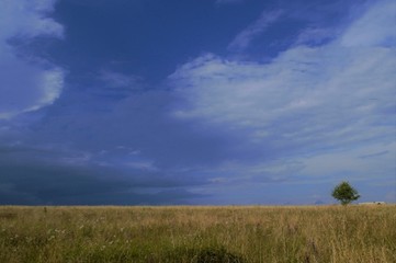 
stormy sky over the field