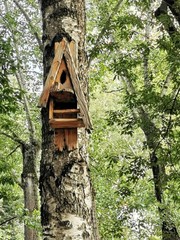 old wooden birdhouse