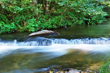 Polska. Roztocze. Szumy nad rzeką Tanwią. © Grzegorz