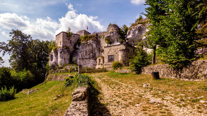 Obraz premium Ruiny zamku w Morsku na Wyżynie Krakowsko-Częstochowskiej.