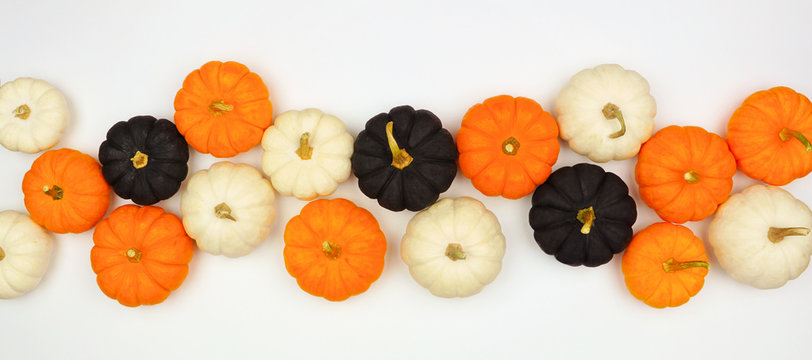Autumn pumpkin banner Halloween colors orange, black and white against a white background