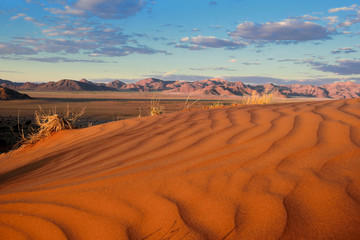 SAND DUNES AND SAND PATTERNS IN THE NAMIB DESERT IN NAMIBIA