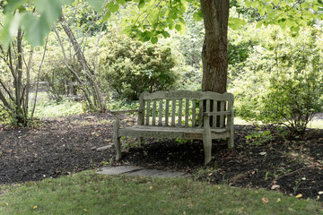 wooden bench in the park