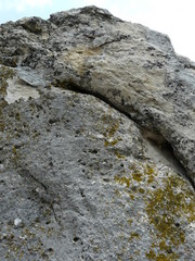 stone wall with moss
