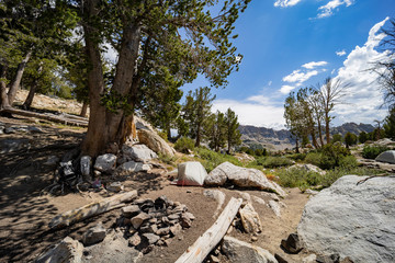 Afternoon sunny view of a campground with bags and tent