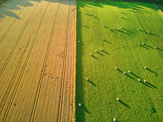 Aerial view of pastures and farmlands in Brittany, France