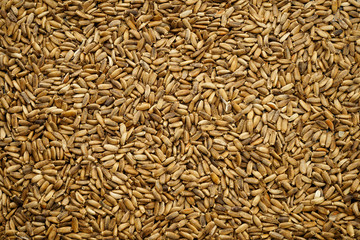 unusual kind of milk thistle seeds as a background