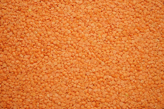Background of dried clean crushed calibrated yellowish-orange lentils