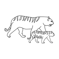 Adult tiger and tiger cub, mom and baby animals, educational materials in the form of a coloring page for children, vector outline illustration
