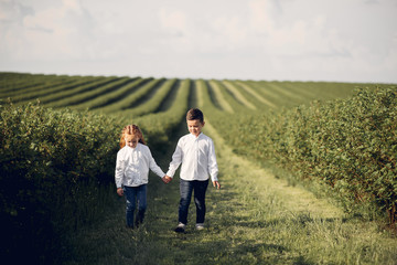 Beautiful little girl in a white shirt. Childred playing in a summer field