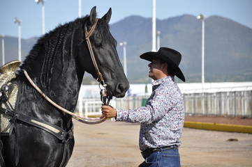 horse and rider
