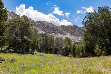 Fototapeta premium Afternoon view of the beautiful Castle Lake Trail