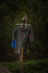 garden Scarecrow repels birds. Russian Federation