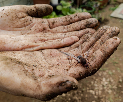 En tus manos est&aacute; mi vida