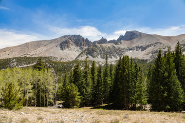 Obraz premium Beautiful landscape along the Wheeler Peak Summit Trail