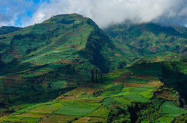 Beautiful mountain landscape with agriculture concept vegetable plantation terrace. Under blue skies and thick clouds 