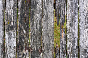 Obraz premium Closeup of rotting deck boards, time for replacement 