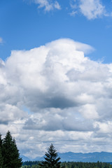 Nature background of blue sky and white clouds above evergreen trees and the Cascade Mountains
