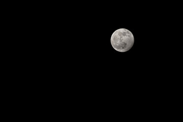 Full moon on a black cloudless sky. A natural satellite.
