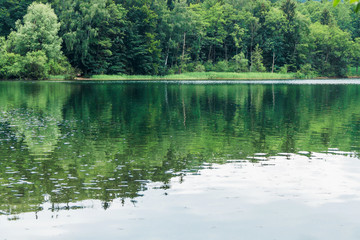 Reflection of forest trees in the water of the lake. Large trees on the opposite side of the lake. Beautiful natural background. An idea of ​​the beauty of nature in Europe. Dense forest by the lake.