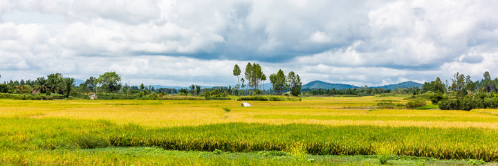 between lake Toba and Sipirok on Sumatra