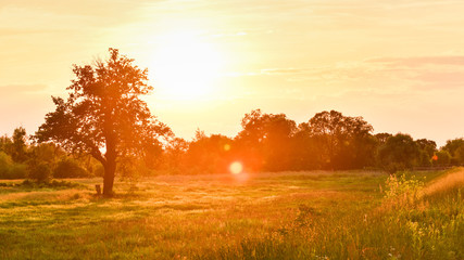 Fototapeta na wymiar An orange sunset over the trees, a sunlit meadow.
