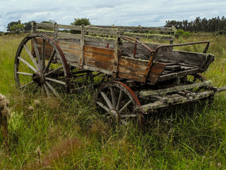 Fototapeta na wymiar abandoned wagon