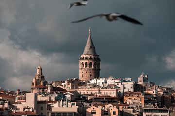 Obraz premium Galata Tower 