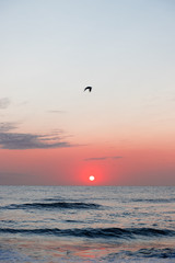 Sunrise on the beach