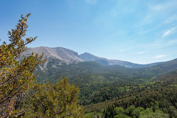 Obraz premium Sunny view of the beautiful Wheeler Peak from Mather Point