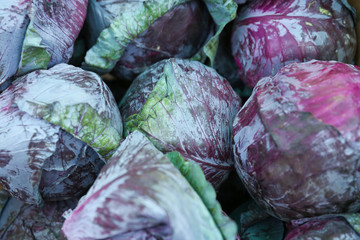 Fototapeta na wymiar background of purple cabbage on the market