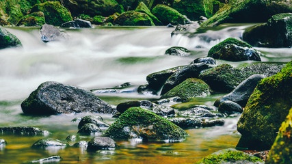 Mountain river, cold rushing water flows between green rocks.