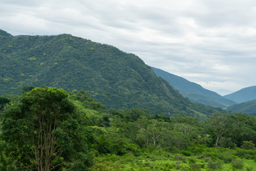 cerro